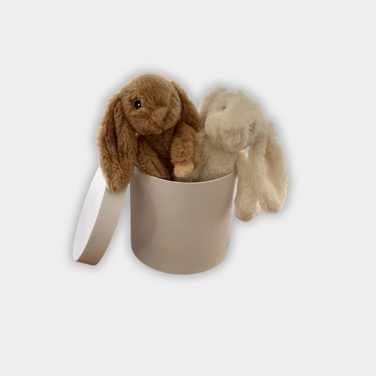 Baby Box Double Bunnies