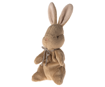 O meu primeiro coelhinho - Castanho
