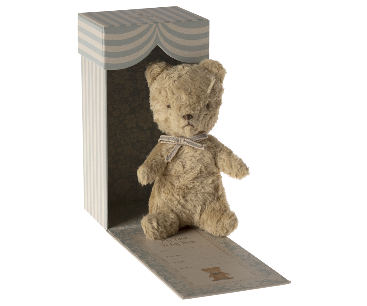 O meu primeiro Teddy - Areia