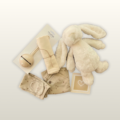 Conteudo Baby Box Forest 