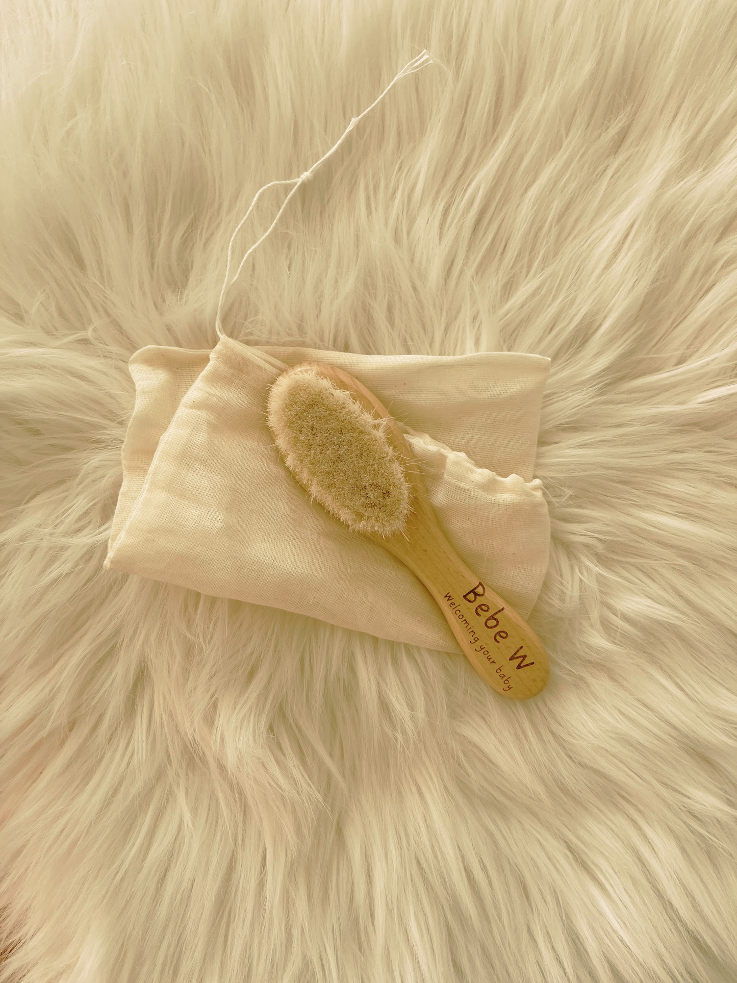 Saco - conj de escova Bebe W