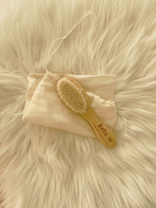 Saco - conj de escova Bebe W