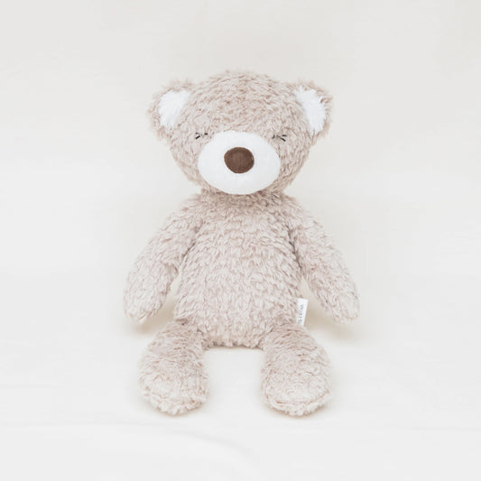 Mr Pyxie - teddy