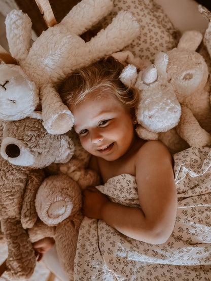 Mr Pyxie - teddy