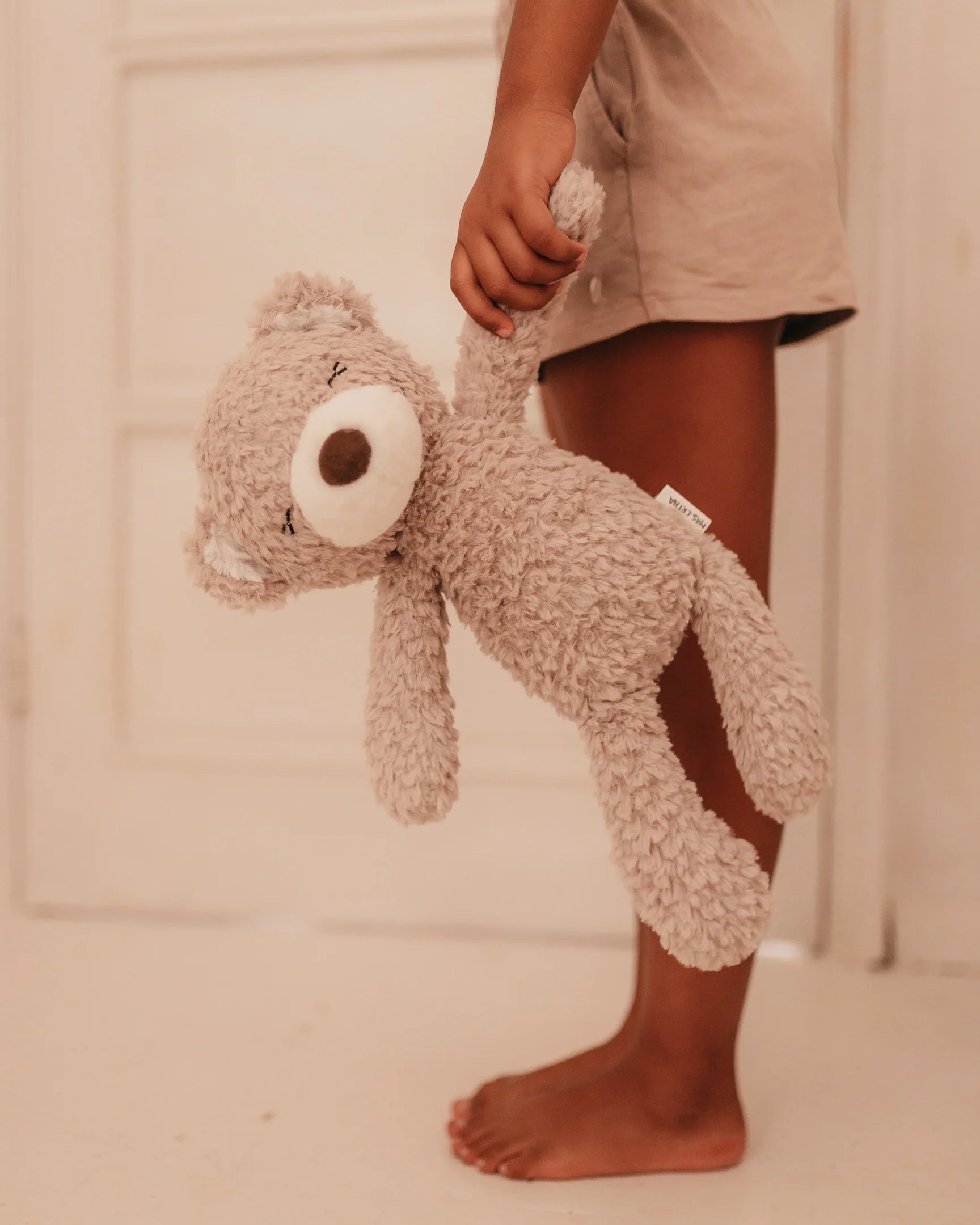 Mr Pyxie - teddy