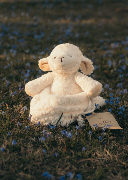 Mrs Polly - sheep