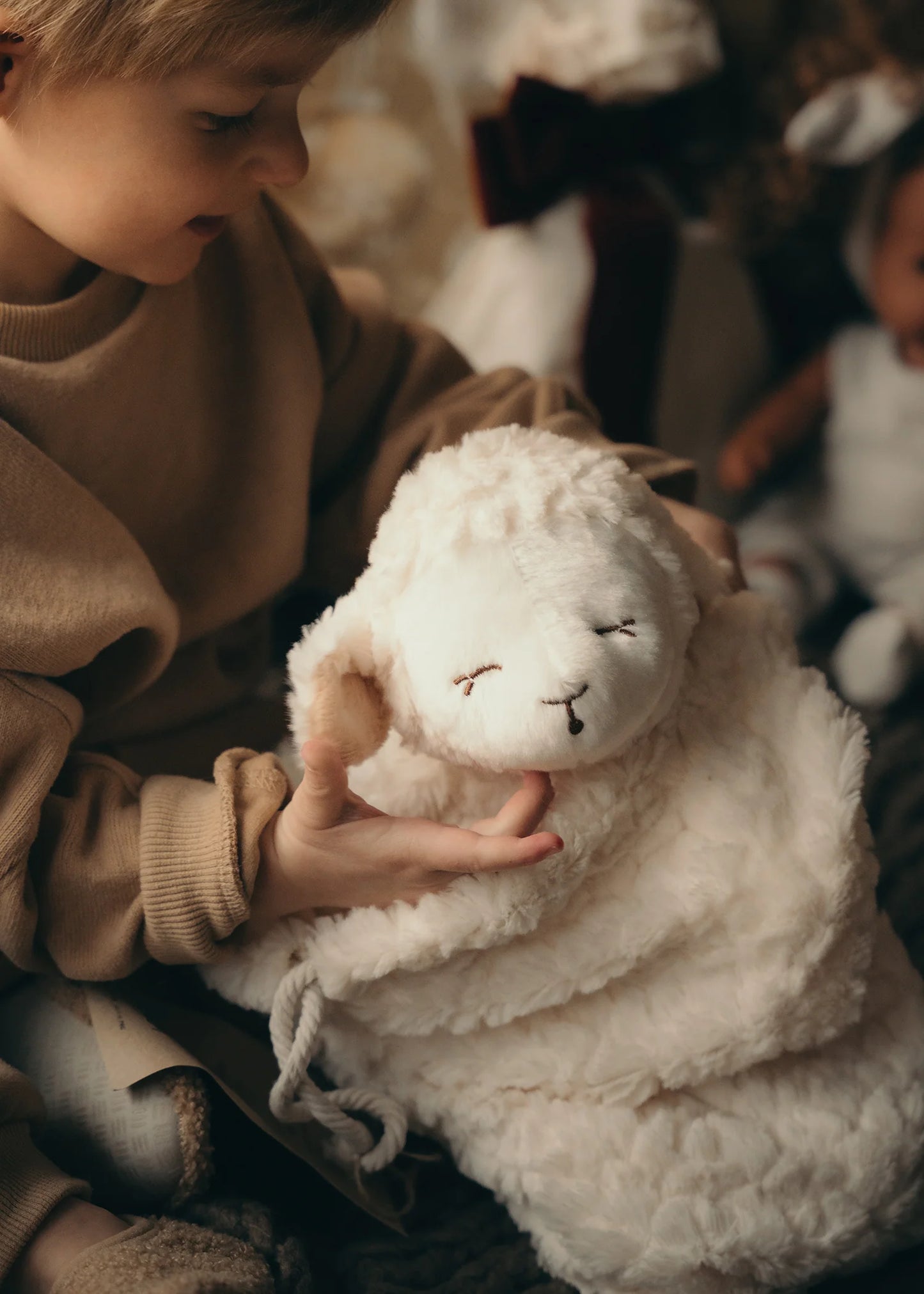 Mrs Polly - sheep