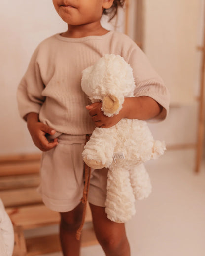Mrs Polly - sheep