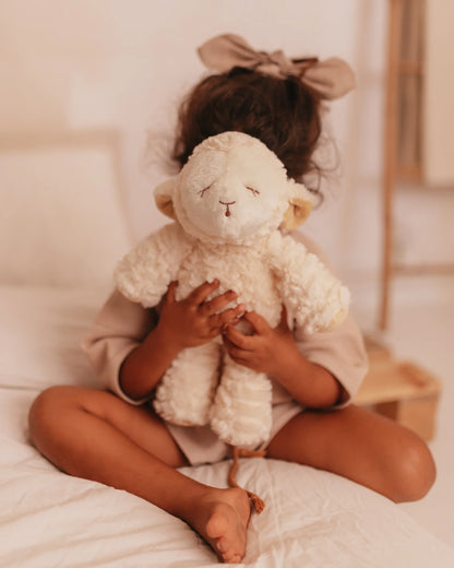 Mrs Polly - sheep